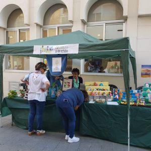 Celebración Día Mundial de la Salud Mental