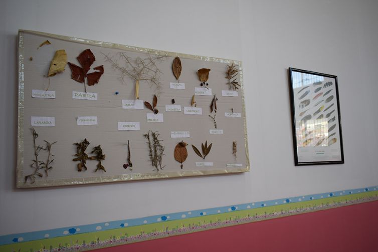 SALA BIODANZA 4 copia